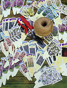 Plant Labels Photograph by Science Photo Library