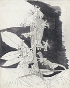 Plantstudie Painting by Carel Adolph Lion Cachet