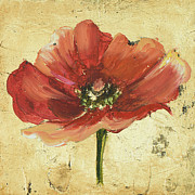 Poppy Iv Mixed Media by Patricia Pinto Poppy Iv Mixed Media by Patricia Pinto