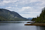 Port Alice Photograph by Randy Hall