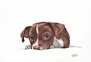 Portrait of a Chihuahua puppy in watercolor Painting by Christopher Shellhammer