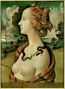Portrait Of A Woman Said Of Simonetta Vespucci, 1480 (oil On Canvas) Painting by Piero Di Cosimo
