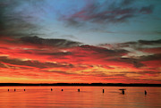 Potomac Reflections Photograph by Art Cole Potomac Reflections Photograph by Art Cole