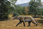 Prehistoric Amphicyonid Bear-dog Photograph by Science Photo Library