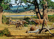 Prehistoric Canines Photograph by Science Photo Library