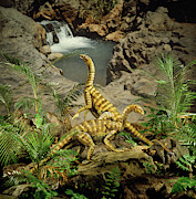Primitive prosauropods Photograph by Warren Photographic