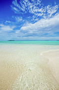 Pure Blue Bliss Photograph by Becqi Sherman