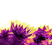 Purple and Yellow Houseleeks Digital Art by Scott Lyons