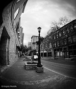 Quiet Stroll Photograph by Angela Weddle