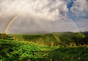 Rainbow Light and Form Photograph by Leland D Howard