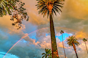 Rainbow Over The Palms Photograph by Gene Parks Rainbow Over The Palms Photograph by Gene Parks