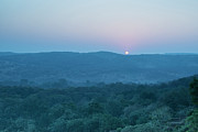 Ranthambhore National Park Forest Photograph by Mike Powles