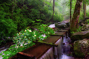 Reagans Mill Photograph by Nunweiler Photography