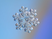 Real snowflake - 05-Feb-2018 - 14 Photograph by Alexey Kljatov