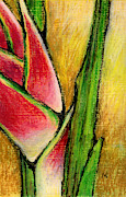 Red Heliconia Pastel by AnneMarie Welsh