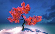 Red Tree and Blue Sky Digital Art by Matthias Hauser Red Tree and Blue Sky Digital Art by Matthias Hauser