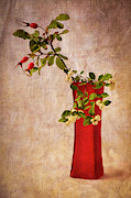 Red Vase with Wild Rosehips and Berries Photograph by Mary Lee Dereske