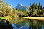 Reflections Of Half Dome Photograph by Sandy L. Kirkner