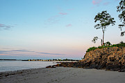 Rice Beach Sunrise Beverly MA Cliff Tree Photograph by Toby McGuire