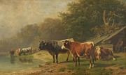 Rinder Am Seeufer Painting by Friedrich Voltz