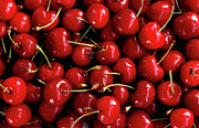 Ripe Cherries Photograph by Science Photo Library