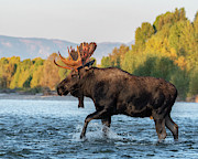 River crossing Photograph by Mary Hone