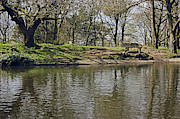   RIVINGTON  Japanese Pool Bench. Photograph by Lachlan Main