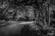 Road to Nowhere Photograph by Bryan Lee Williams