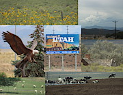 Road Trip Through Utah on Highway 15 Photograph by Colleen Cornelius