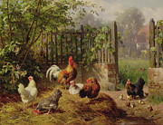 Rooster with Hens and Chicks Painting by Carl Jutz