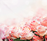 Roses Bouquet Photograph by Jelena Jovanovic