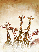 Safari Giraffe II Painting by Dan Meneely Safari Giraffe II Painting by Dan Meneely