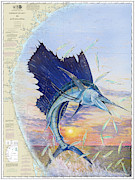 Sailfish Chart Painting by Mark Ray