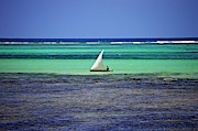 Sailing at Zanzibar Photograph by Thomas Schroeder