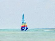 Sailing  Photograph by Carol Riddle