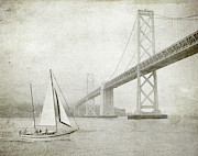 Sailing the Bay Photograph by Lupen Grainne