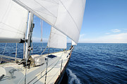Sailing Towards The Horizon On A Sunny Photograph by Nikitje