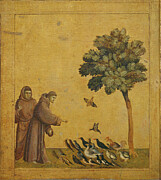 Saint Francois Prechant Aux Oiseaux  Saint Francis Preaching To The Birds Painting by Giotto