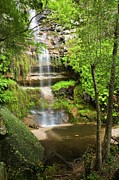 Samango Falla. Oribi George. Kwazulu Photograph by Roger De La Harpe