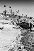SAN DIEGO Sunset Cliffs - monochrome Photograph by Melanie Viola