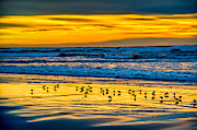 Sandpiper Sunset at Manzanita Photograph by Bruce Block