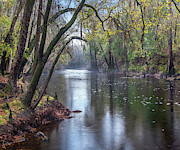 Santa Fe River, O'leno State Park, Florida Photograph by Tim Fitzharris Santa Fe River, O'leno State Park, Florida Photograph by Tim Fitzharris