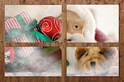 Santa on Christmas Eve Photograph by Colleen Cornelius