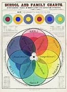 School And Family Charts, Accompanied By A Manual Of Object Painting by Marcius Willson