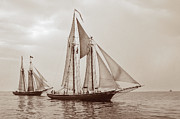 Schooner Race Photograph by Minnie Gallman