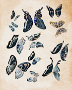 Scrapbook butterflies Photograph by Jorgo Photography