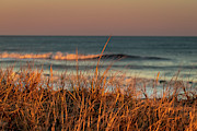 Sea Grass at Assateague Island National Seashore Photograph by William Dickman Sea Grass at Assateague Island National Seashore Photograph by William Dickman