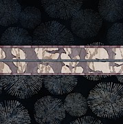 Sea Urchin Contrast Obi Print Digital Art by Sand And Chi