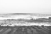 Seaside Dream Black and White - Beach Art by Linda Woods Mixed Media by Linda Woods