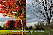 Seasonal Changes Photograph by Richard Thomas Seasonal Changes Photograph by Richard Thomas
